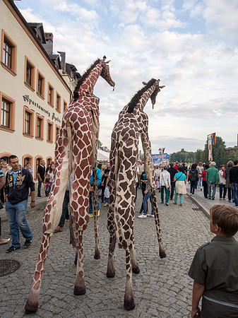 Altstadtfest / Jakuby 2014